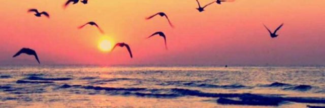 Ayed0777's profile banner image