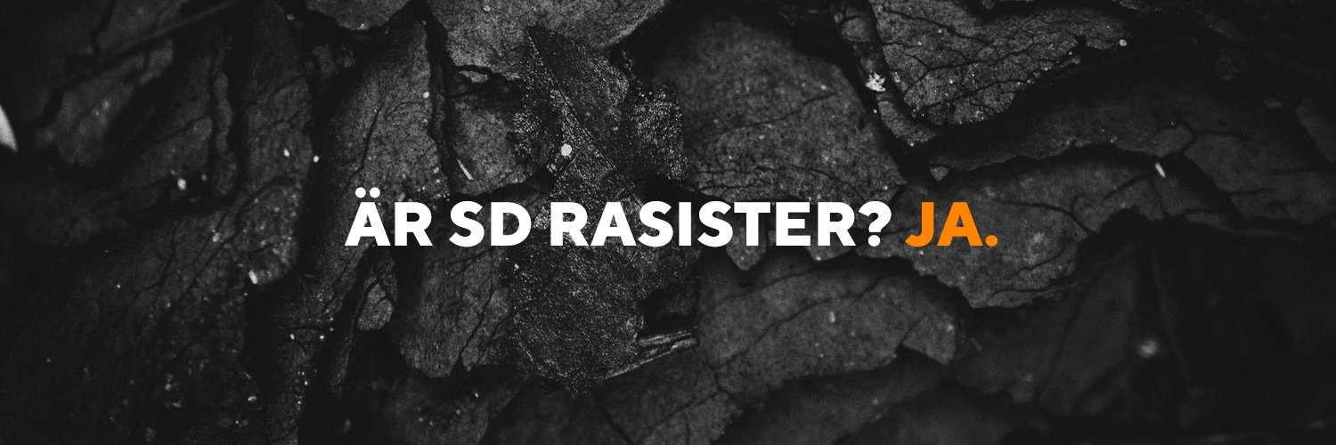 arsdrasister's profile banner image