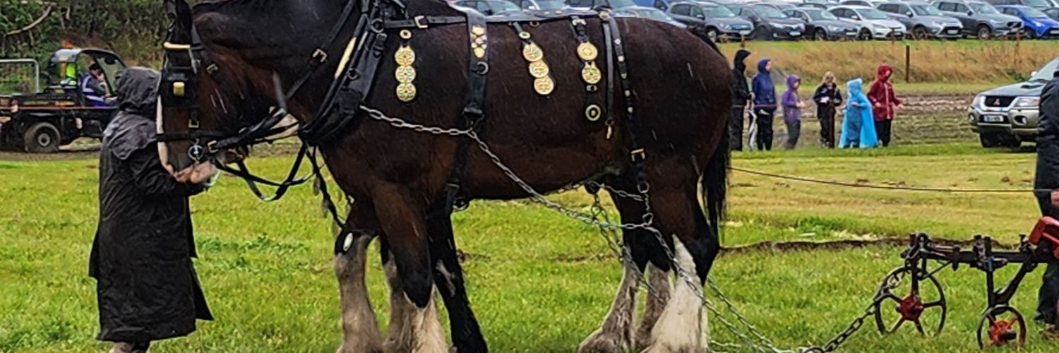 jameschuk's profile banner image