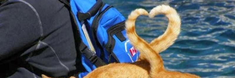 pellersplace's profile banner image