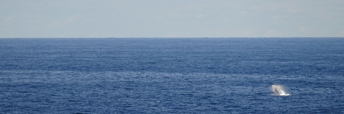 Philipp Hugenroth banner