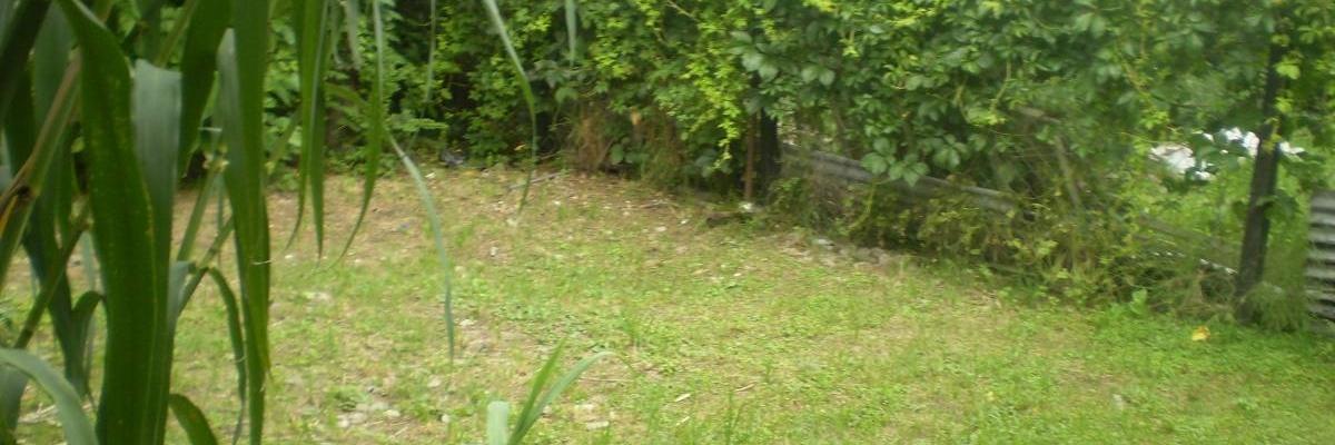 FiestaOveja's profile banner image