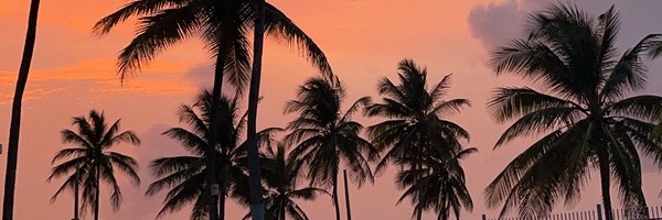 xolei3 Profile Banner