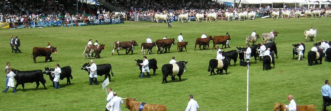 Field Farm Tours Ltd banner