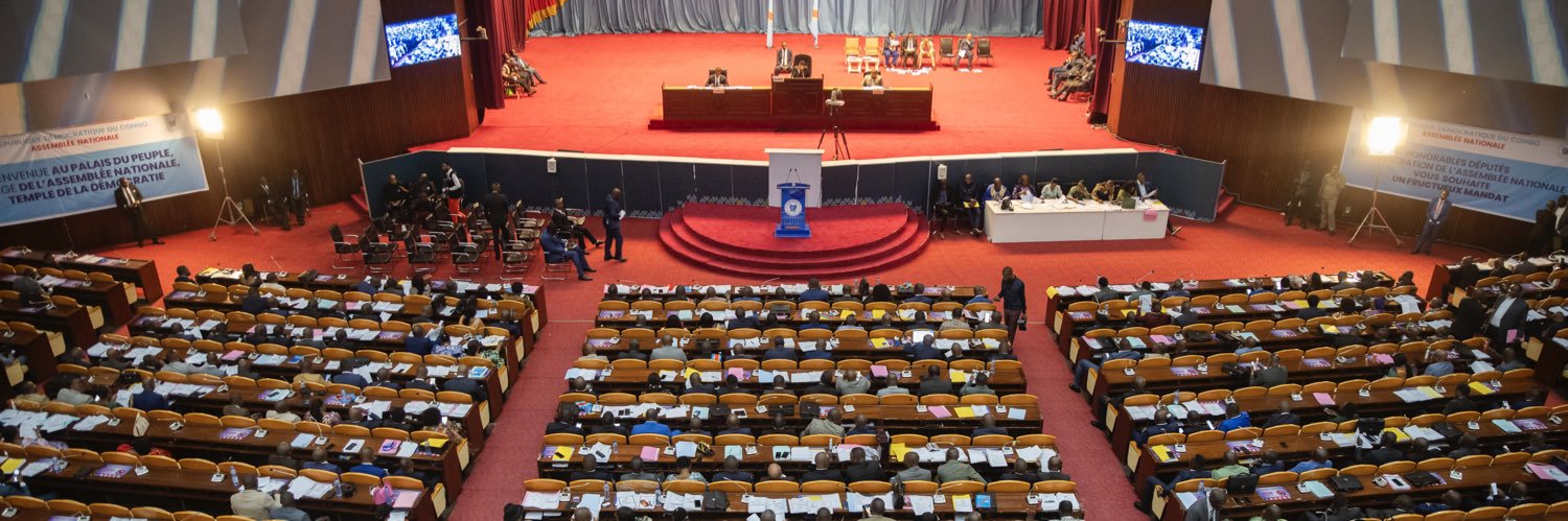 Assemblée nationale 🇨🇩's banner