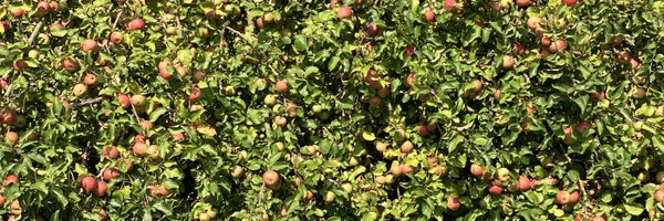 KasparsGerhards Profile Banner