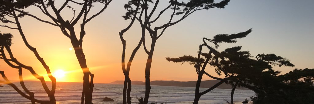 colormecat's profile banner image
