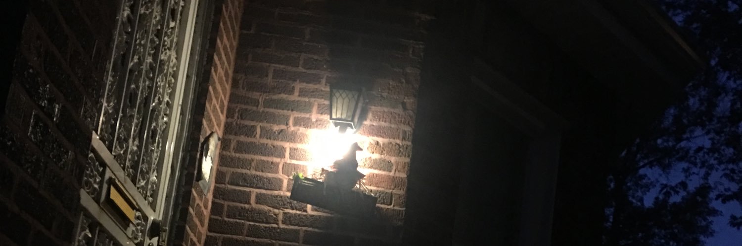 Shaunsecrets12's profile banner image