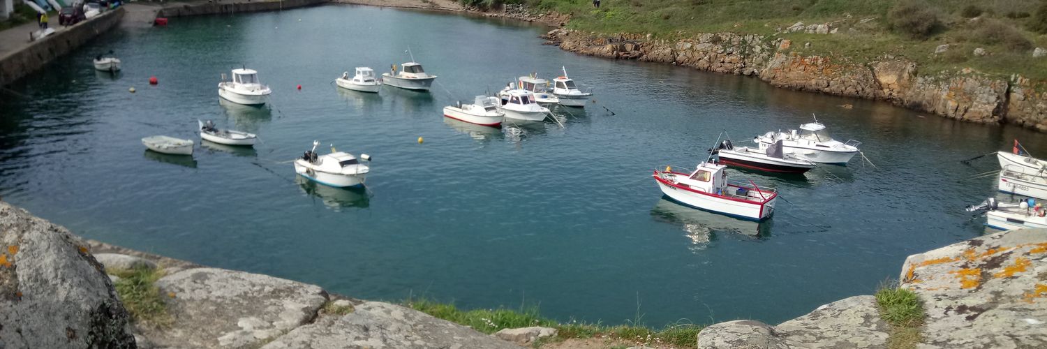 Randal denoueix banner