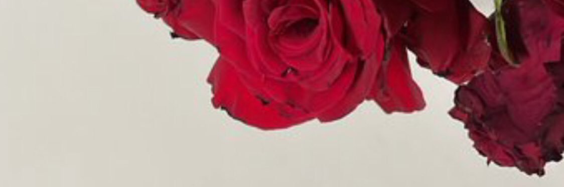 Bnt_ALMantheri's profile banner image
