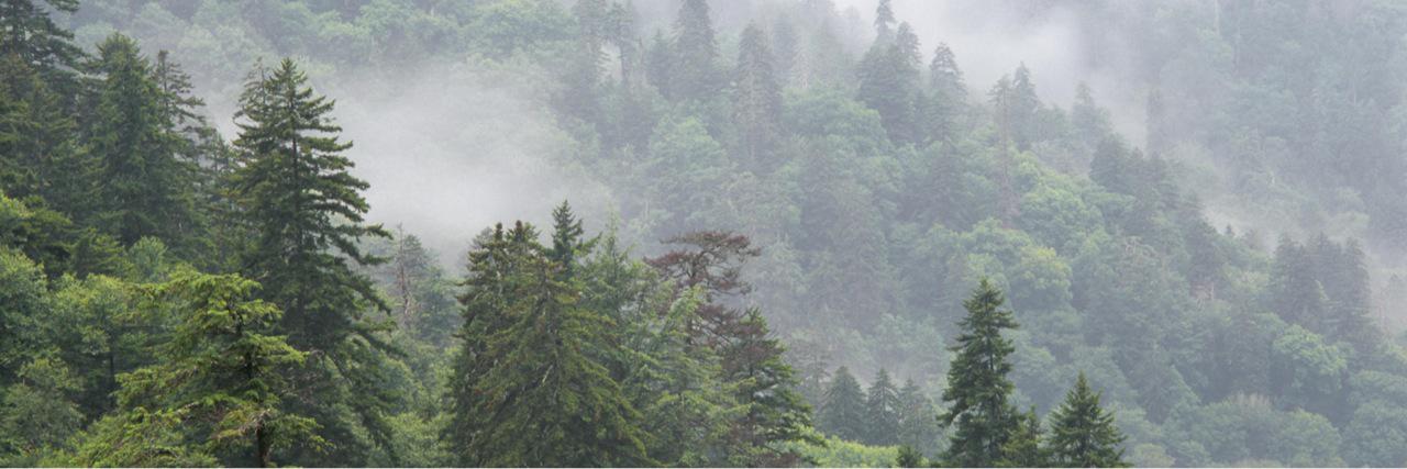 gdrsgrey's profile banner image