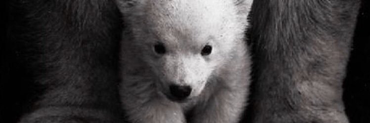 Dunn_11's profile banner image
