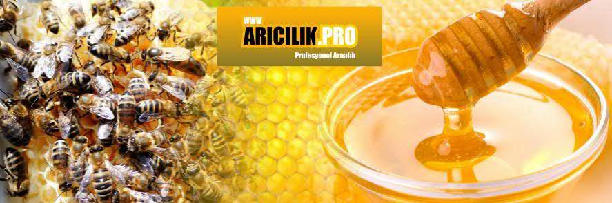 aricilikpro's profile banner image