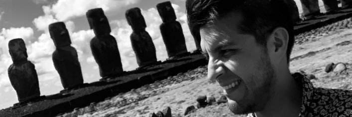 Roberto Campos banner