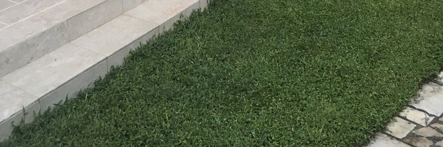 authentic_fake's profile banner image