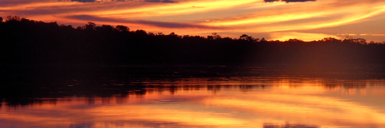 Felipe Suárez Castro banner