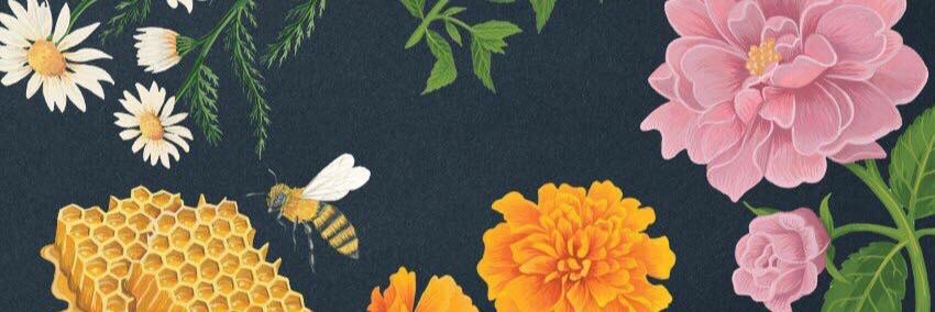 BathLushSpa's profile banner image