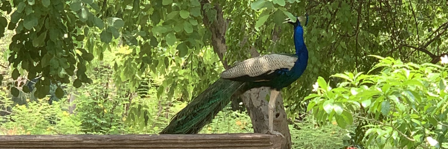 bansalankit77's profile banner image