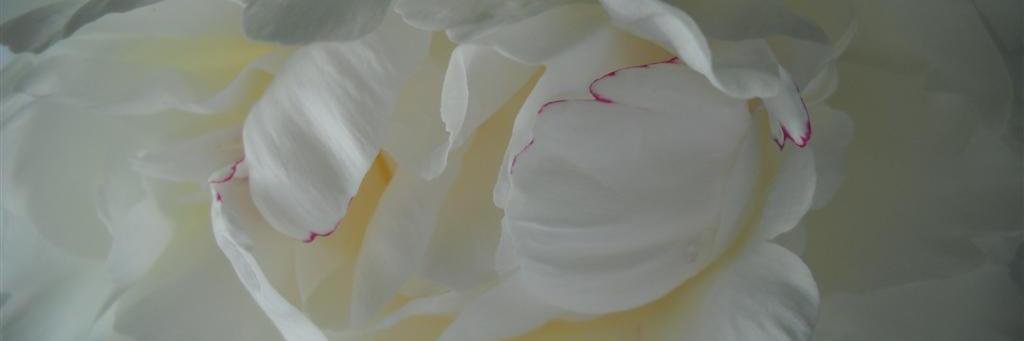 NotSunkYet's profile banner image