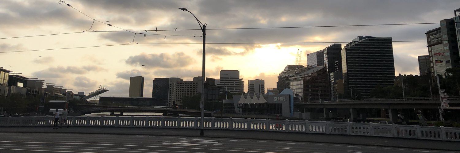 aptothep's profile banner image