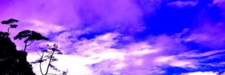 ym___shimi's profile banner image