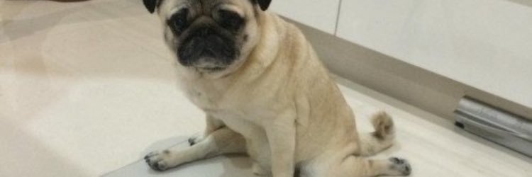Tjtalls2's profile banner image
