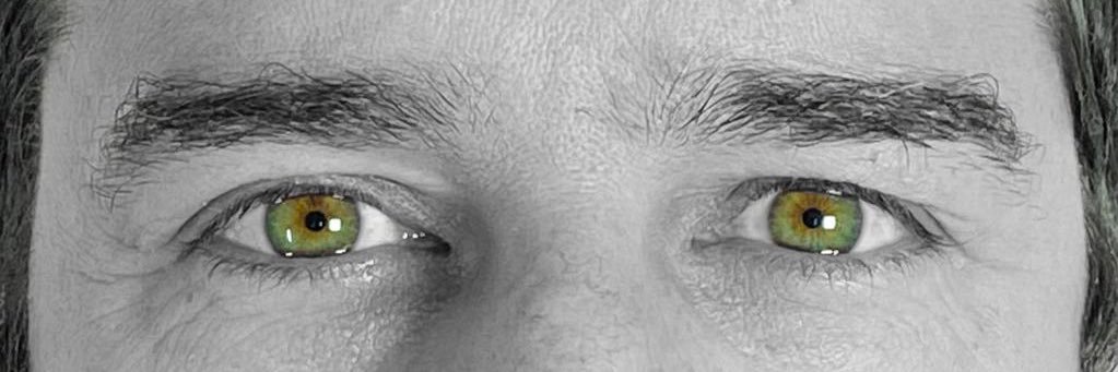 ⚜️Morgan® banner