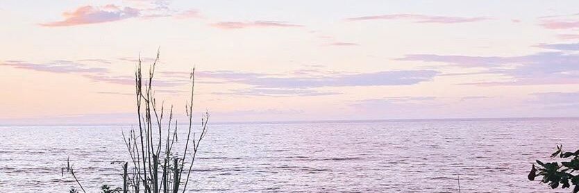 glororcullo's profile banner image