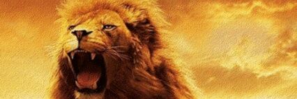 733Khalid's profile banner image
