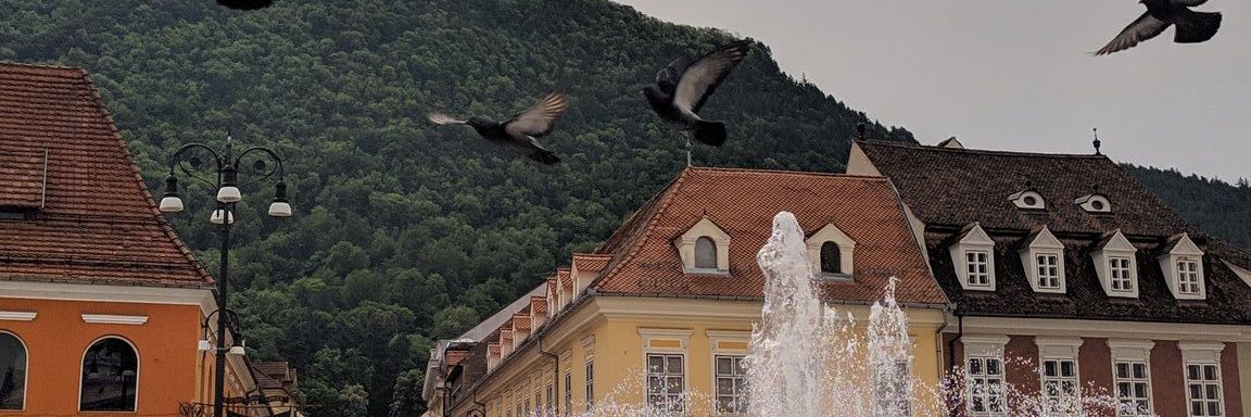 syff22's profile banner image