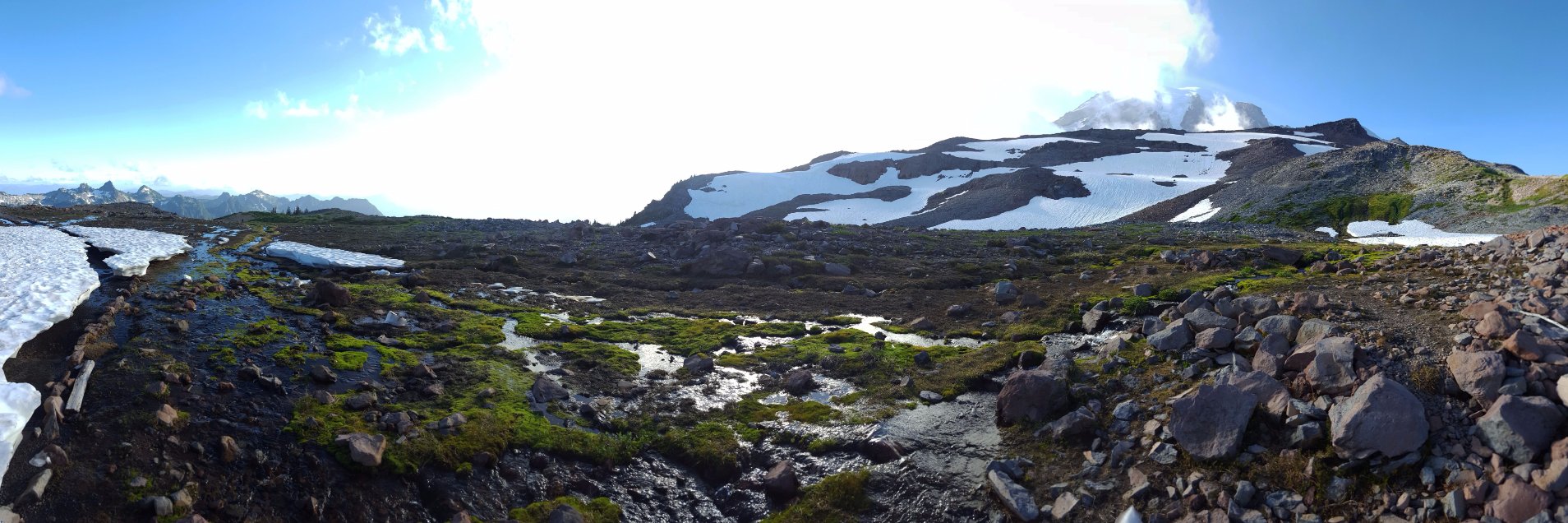 Shell Little @ BlueSky banner