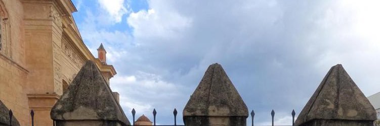 LEOVÍNG | MARTÍNEZ. 🧠🔨🇩🇴 banner