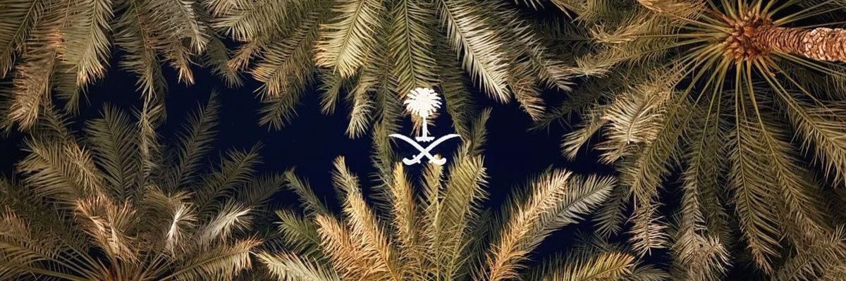 AminaAlqassab's profile banner image