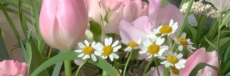 sxhpply's profile banner image
