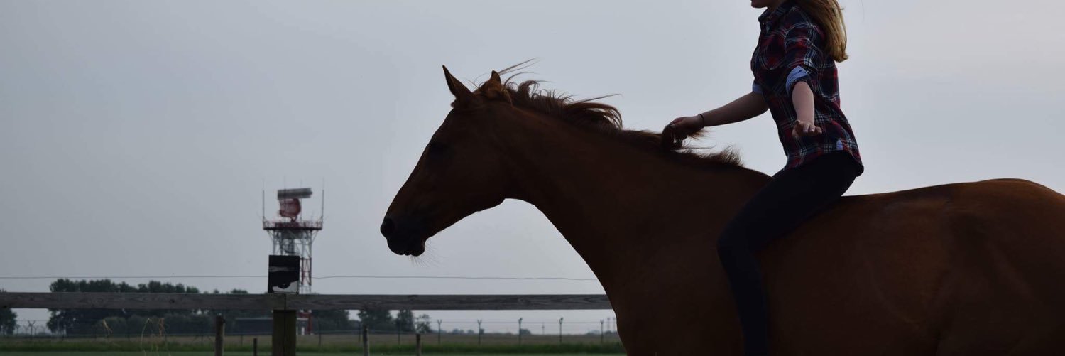 AnaisDeau's profile banner image
