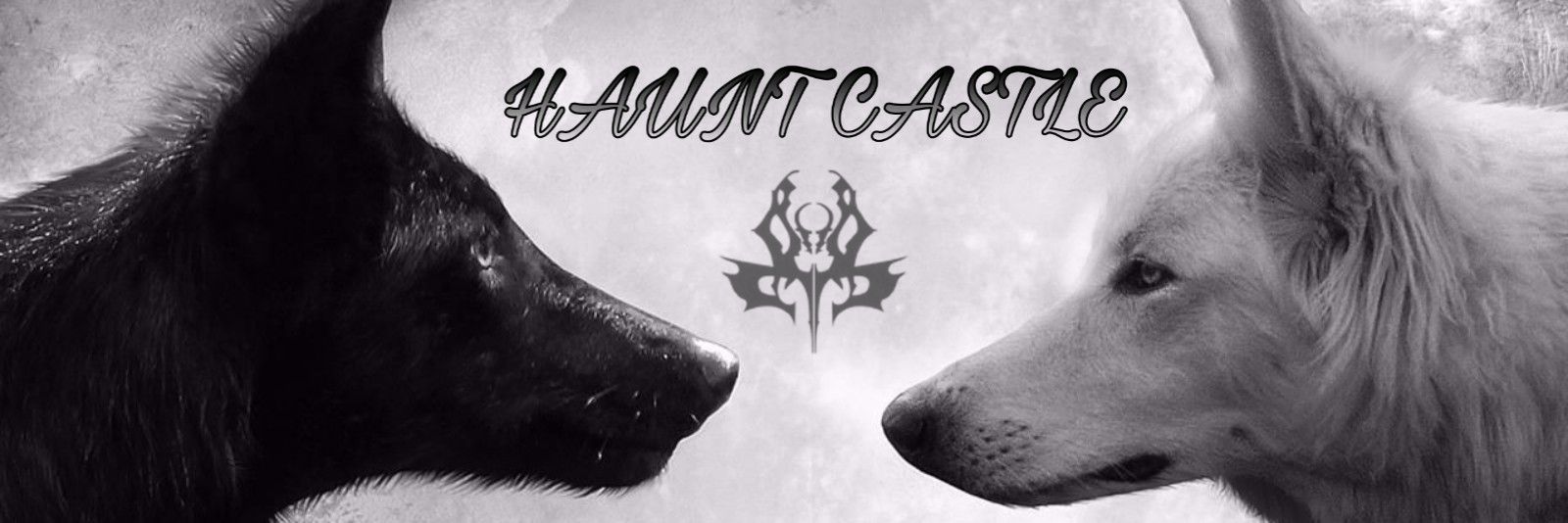 HauntCastle's profile banner image