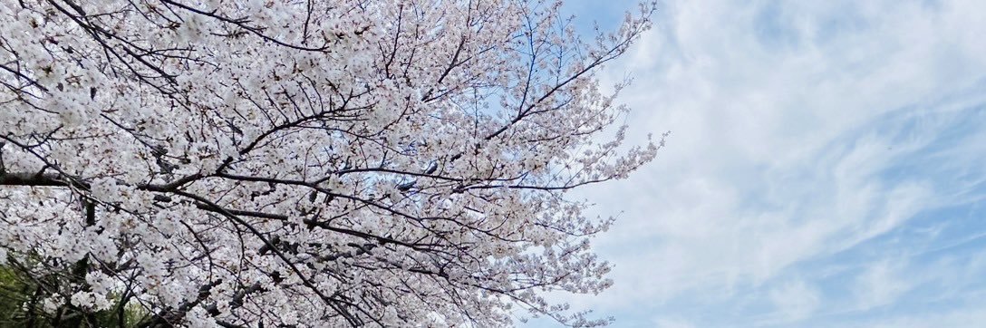yuko banner