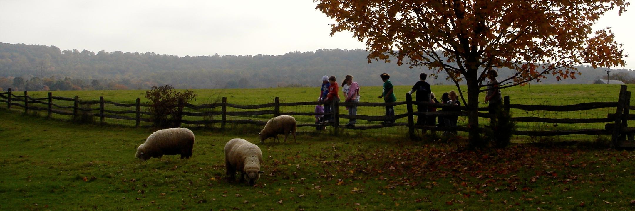 princetonstudiesfood banner