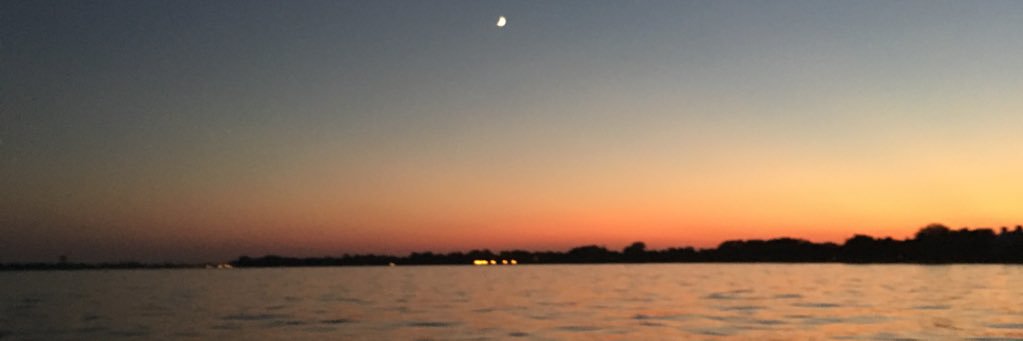LauraBPop's profile banner image