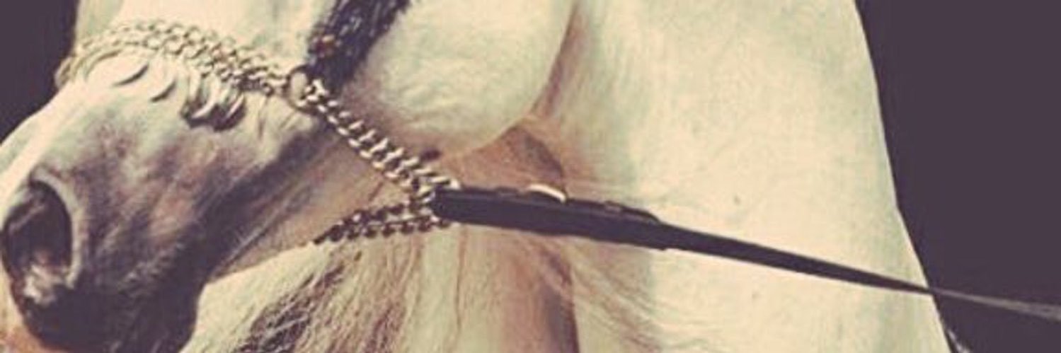 s3don1992's profile banner image