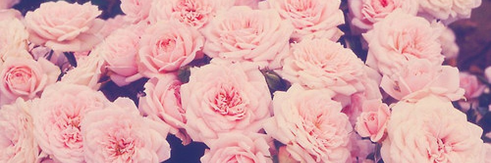 Natasha_Rotar's profile banner image