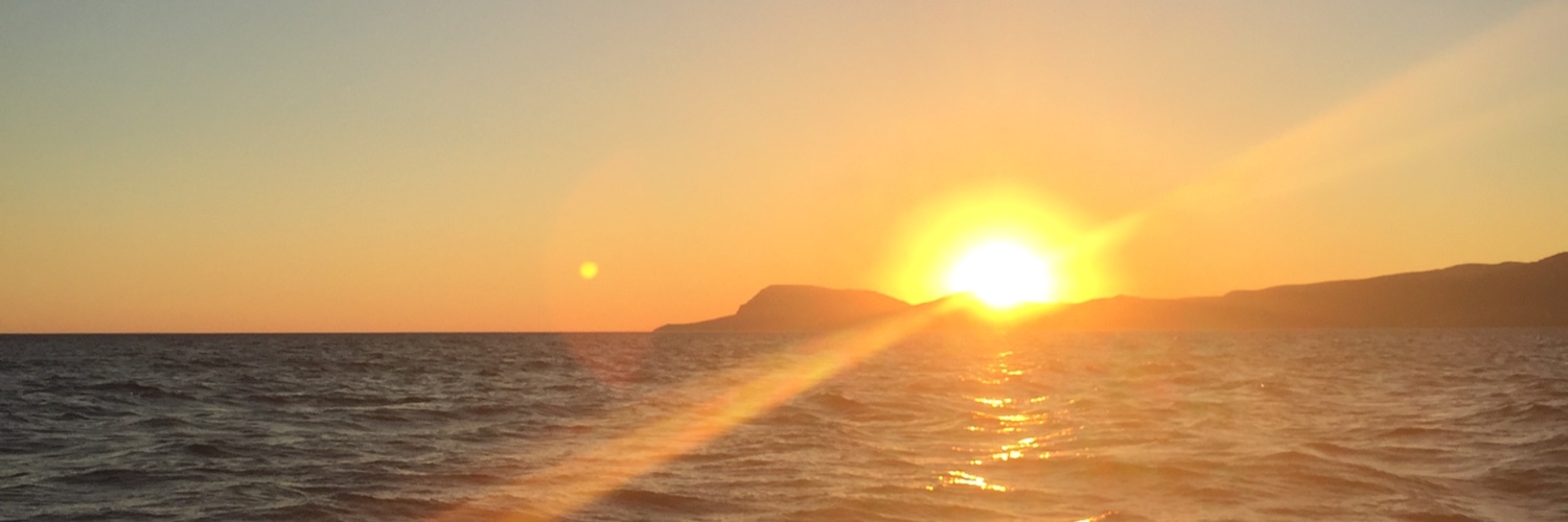 Dr Jane Bourne banner