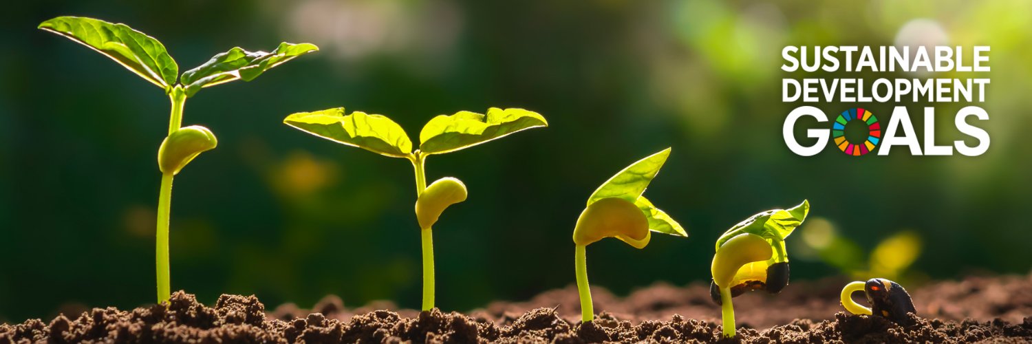 SEEDSandCHIPS's profile banner image