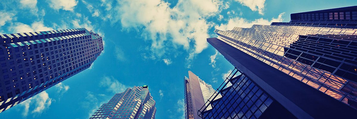 David Camilleri banner