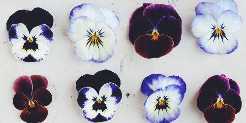 MikeFranta's profile banner image