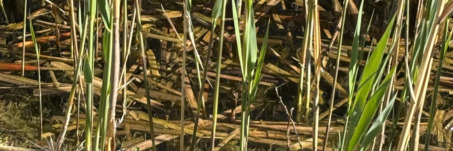 hggrandi's profile banner image