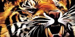 MaX144156's profile banner image