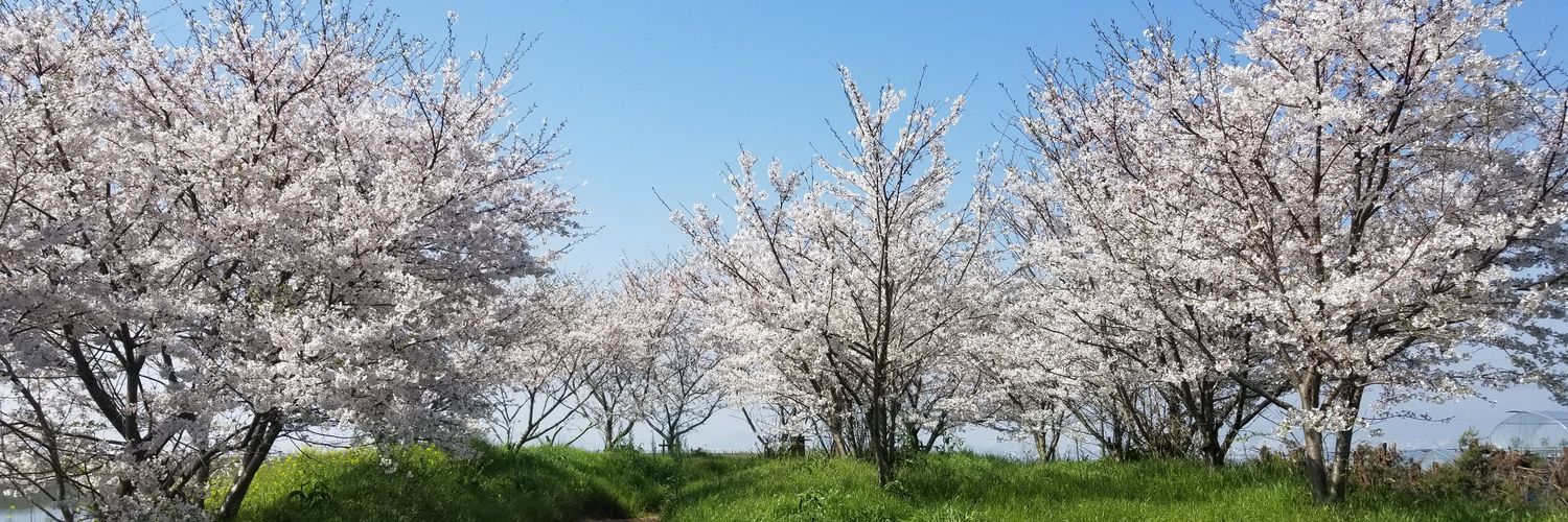 KASHIM_01's profile banner image