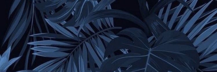 EdaDegerr's profile banner image