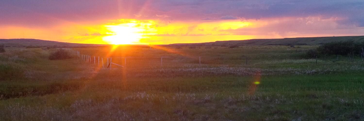 Brennan Wiens banner